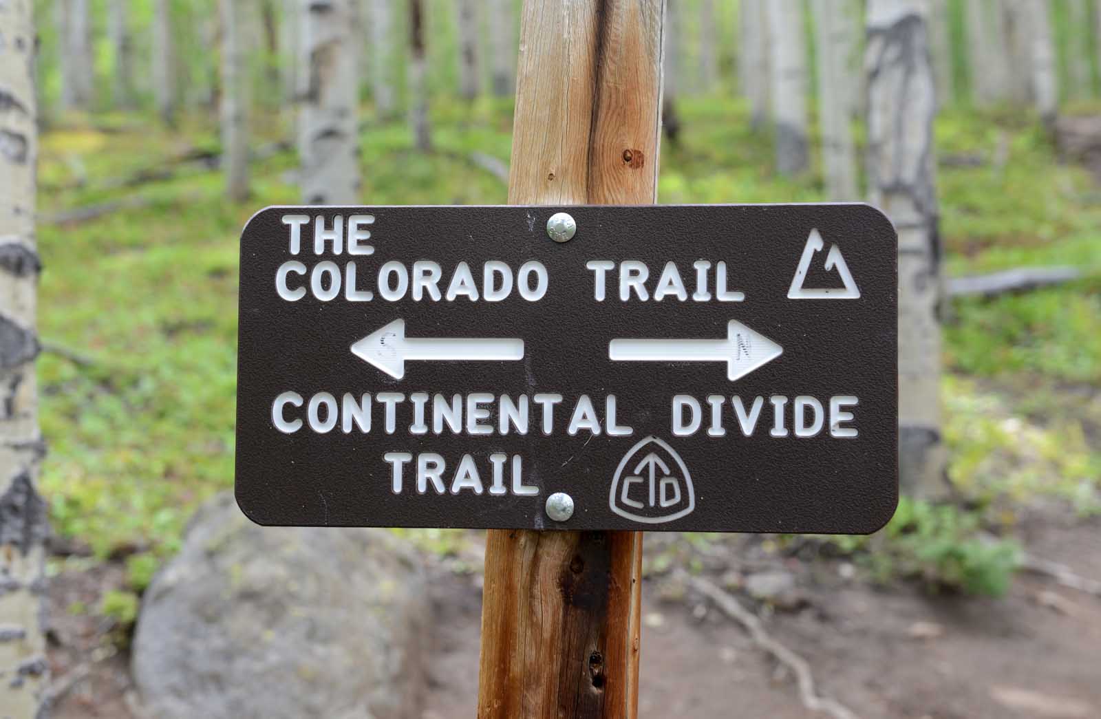 Best Hikes in Colorado The Colorado Trail