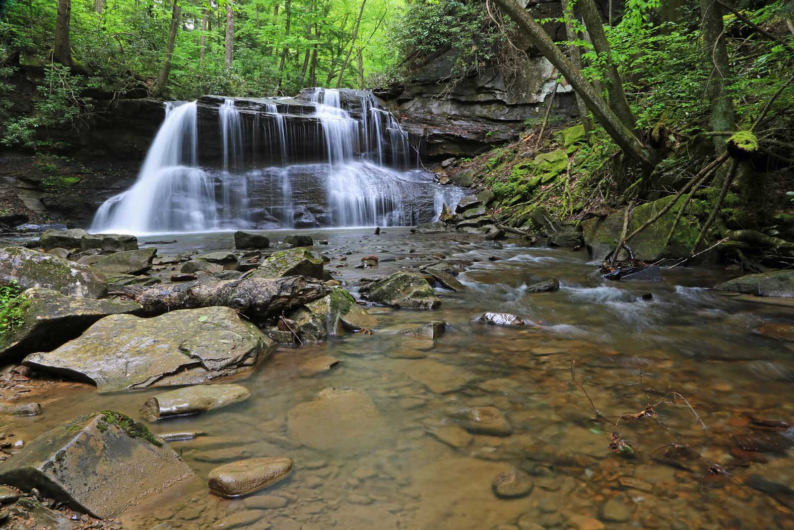 Best Hikes near Nashville Fiery Gizzard Trail