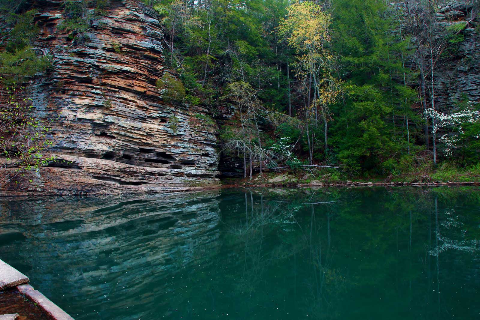 15 Hikes Near Nashville Best Hiking Trails in 2024 The D