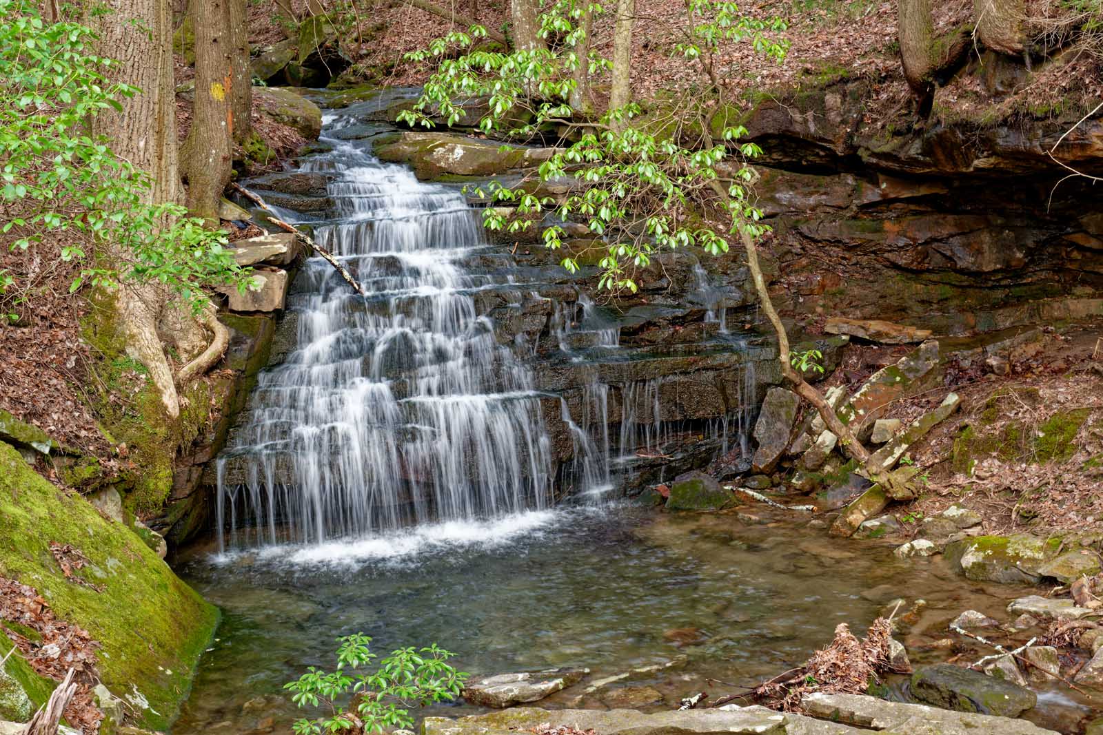 15 Hikes Near Nashville: Best Hiking Trails in 2023 - SuperFlightsTravel