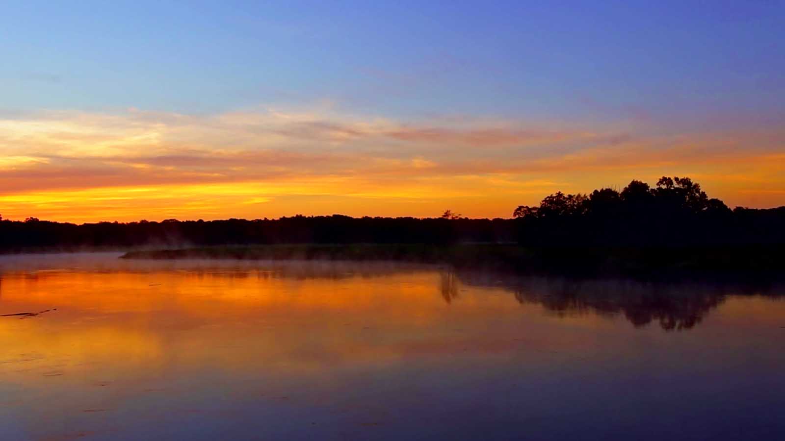 Best Hikes near Nashville Volunteer Trail Day Loop