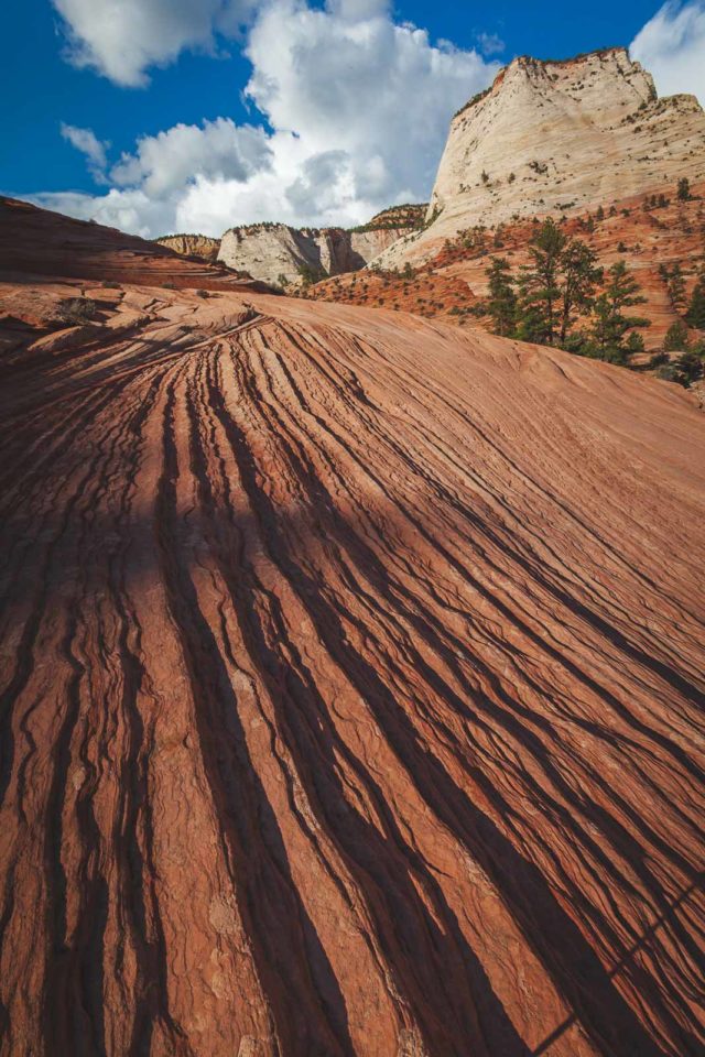 best hikes in zion national park accessible