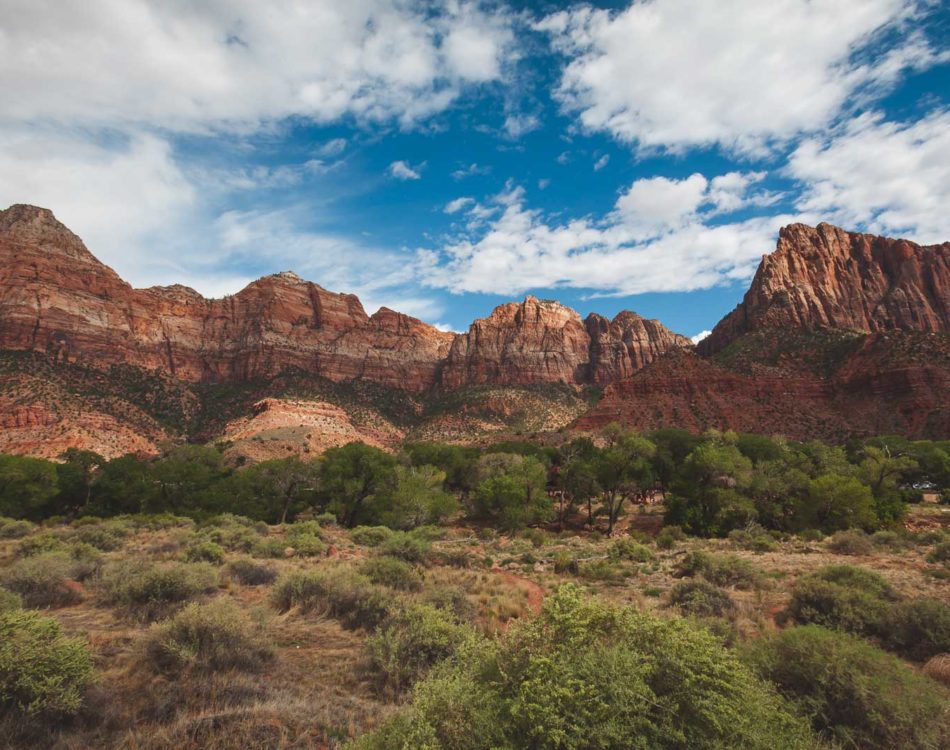 12 Best Hikes in Zion National Park, Utah