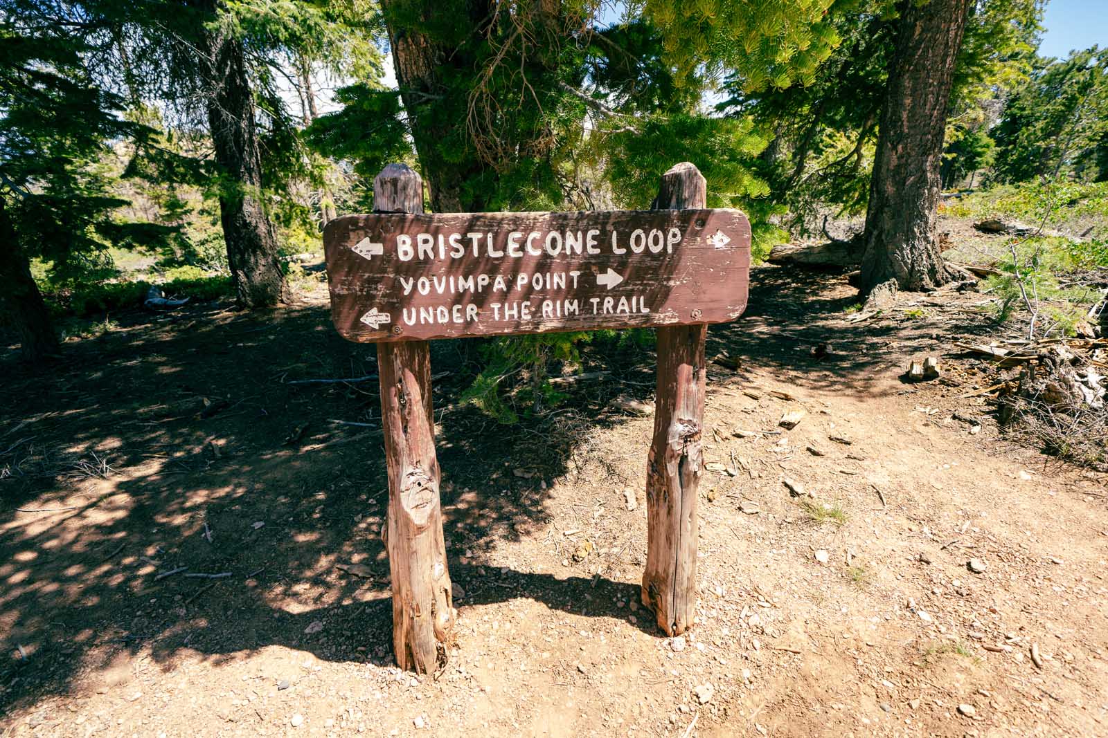 Best Hikes in Bryce Canyon Bristlecone Loop