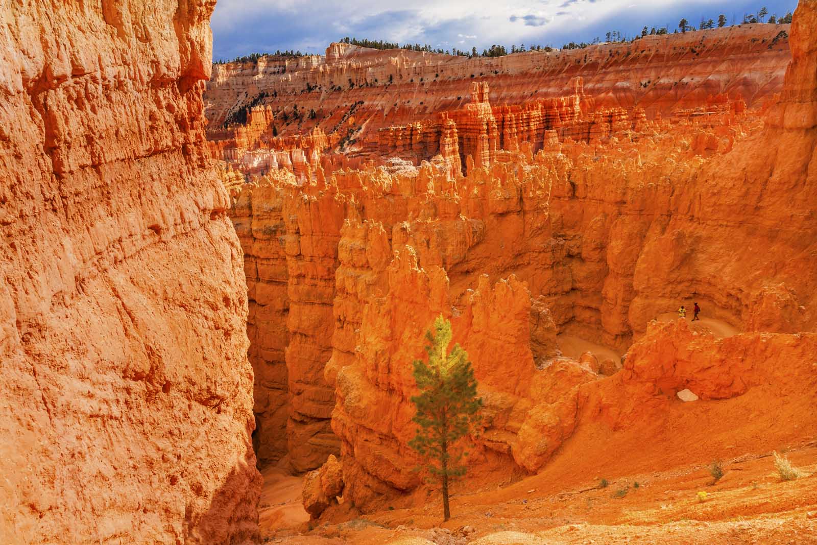 Best Hikes in Bryce Canyon Bryce point