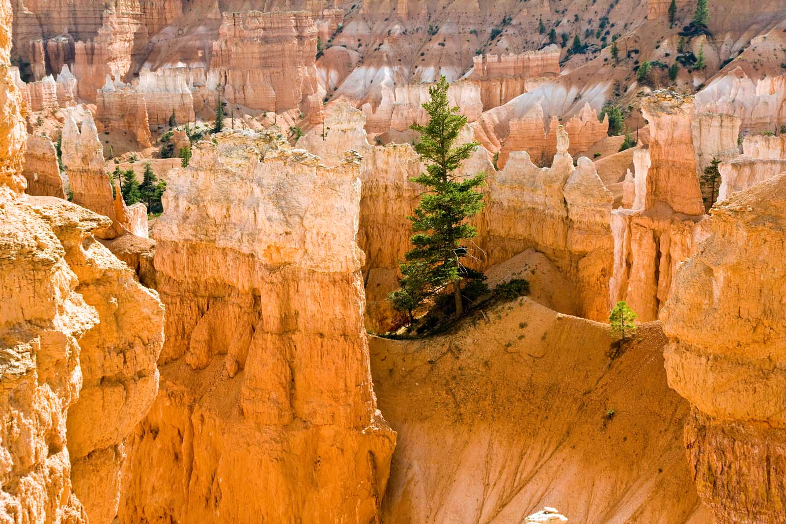 Best Hikes in Bryce Canyon Navajo Loop Trail