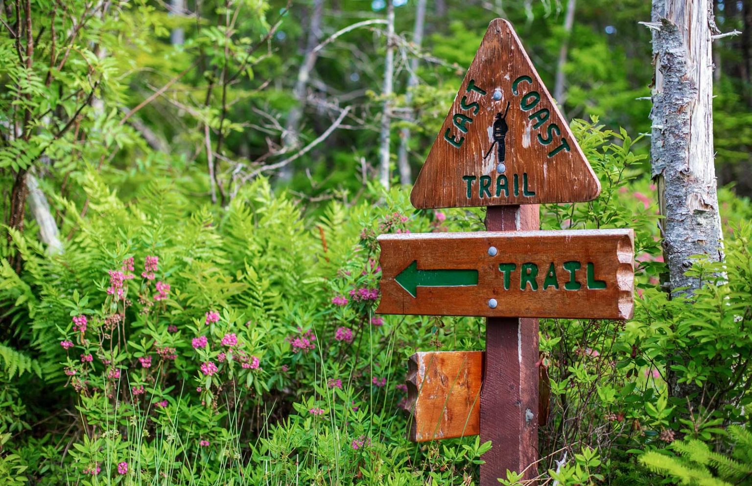 The Best Hikes in Canada to add to Your Bucket List - The Planet D
