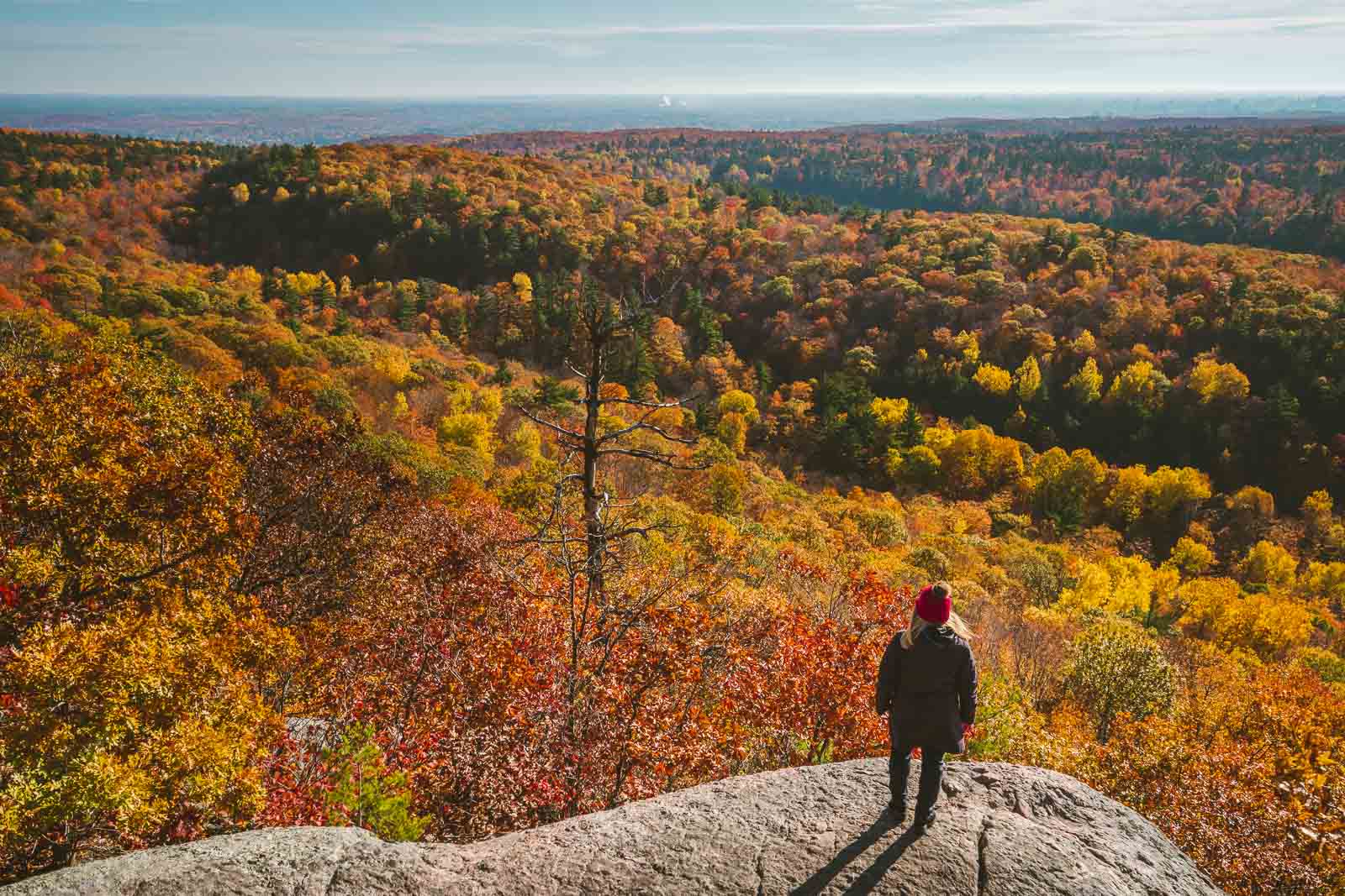 Gatineau Park Hiking Trails in Quebec