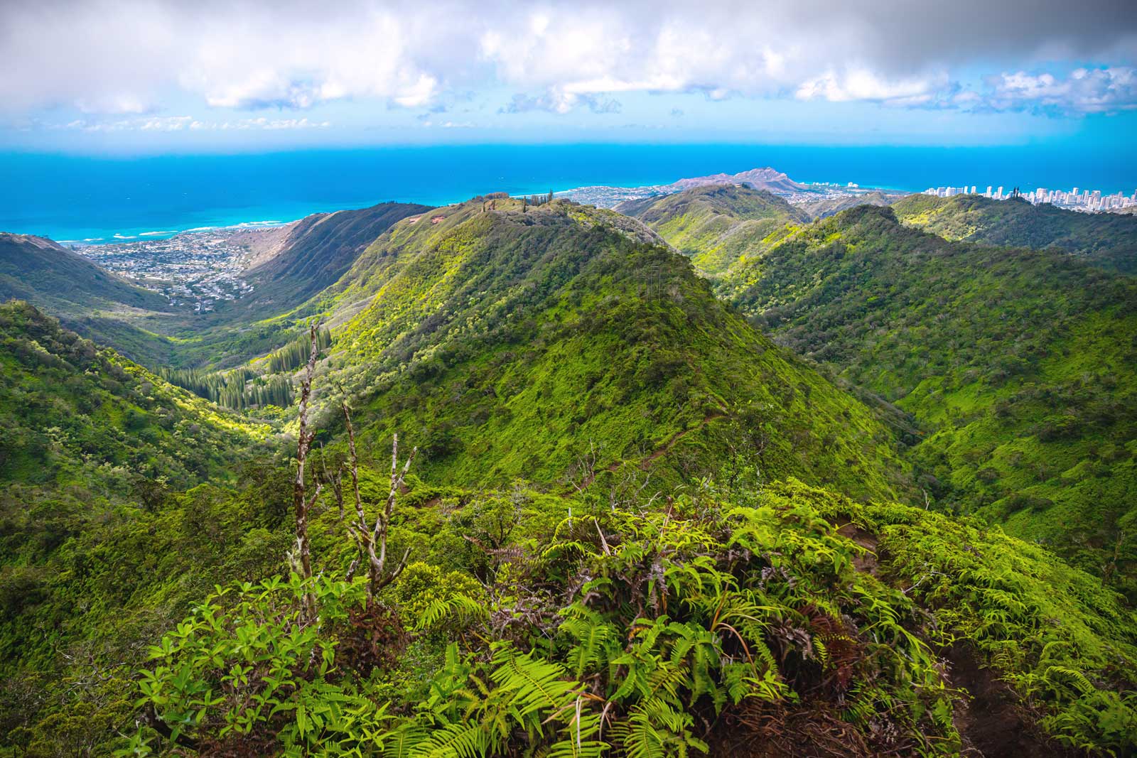Best Hikes in Oahu  Wiliwilinui Ridge Trail