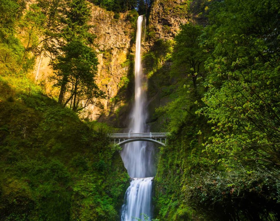 12 Best Hikes in Oregon That Will blow Your Mind