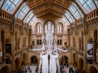 18 Best Museums in London You Have to See in 2023