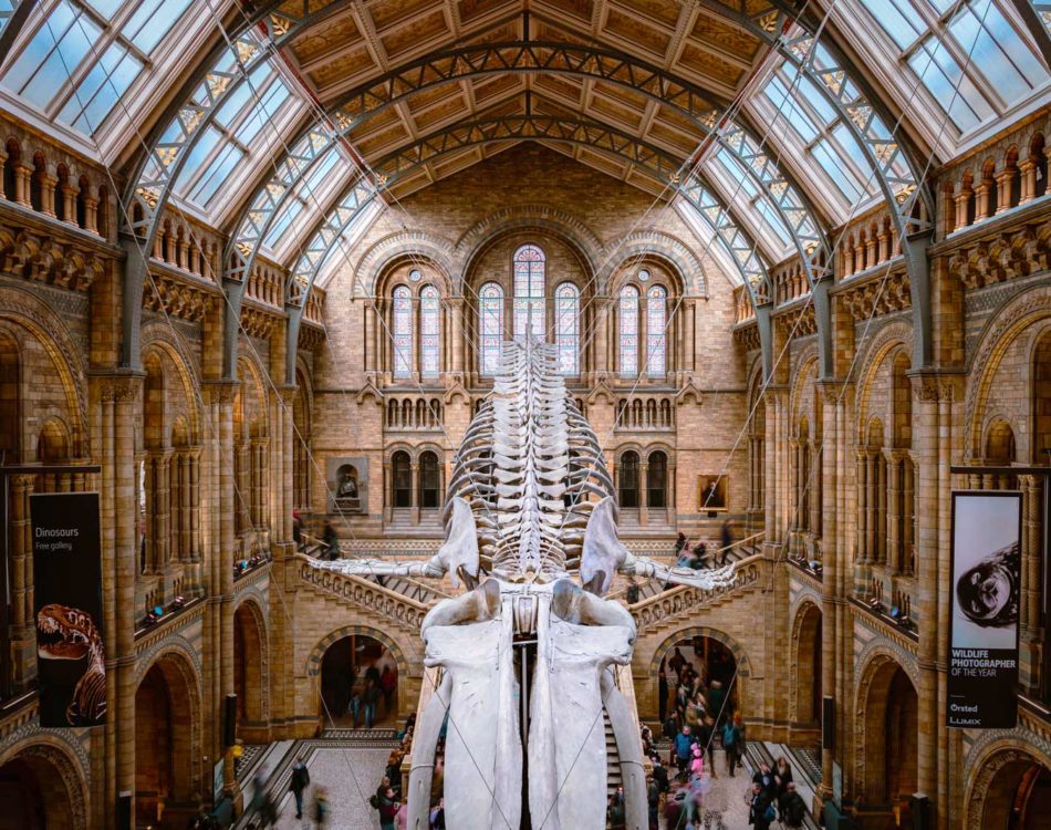 18 Best Museums in London You Have to See in 2024