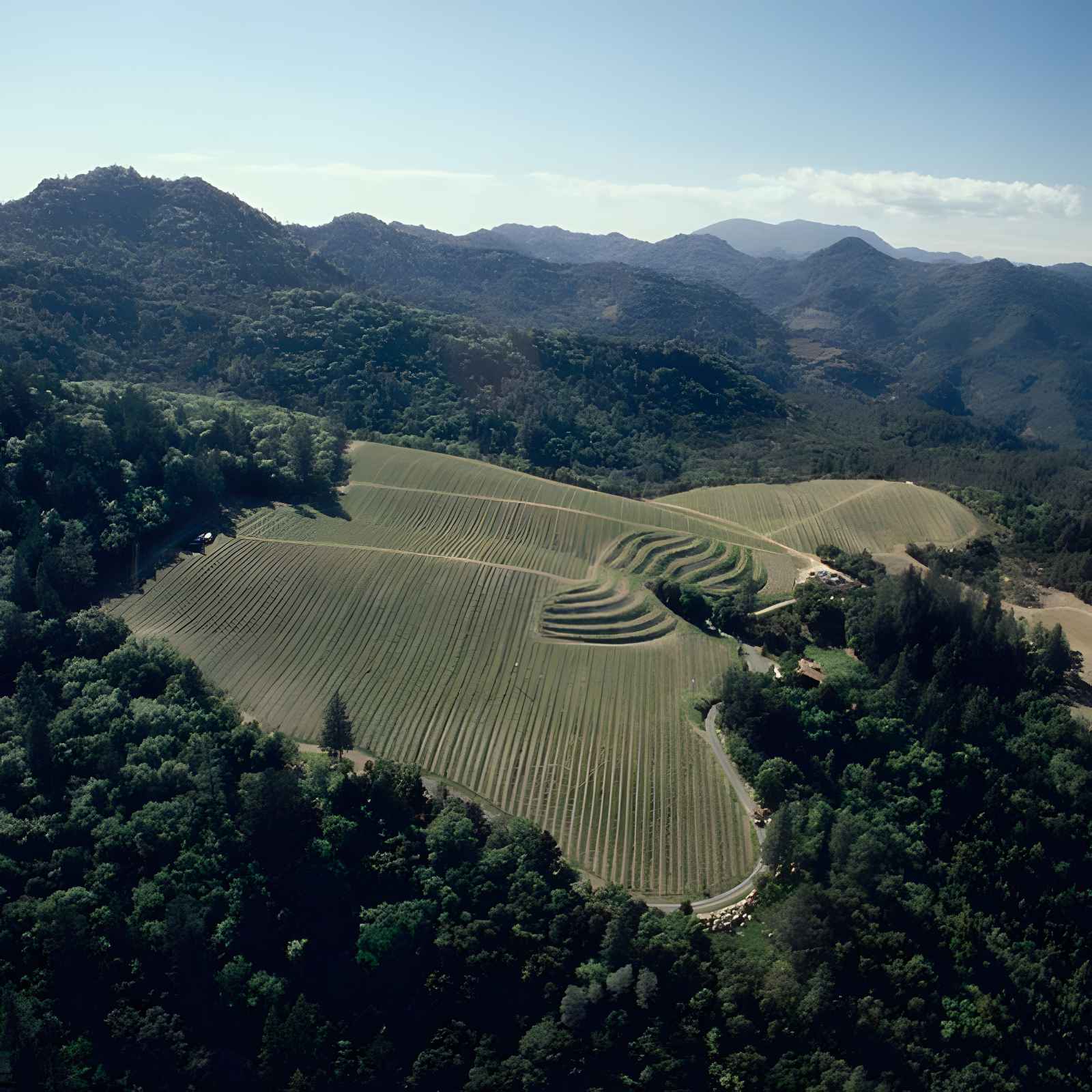 Best Napa Valley wineries Duckhorn Vineyards2