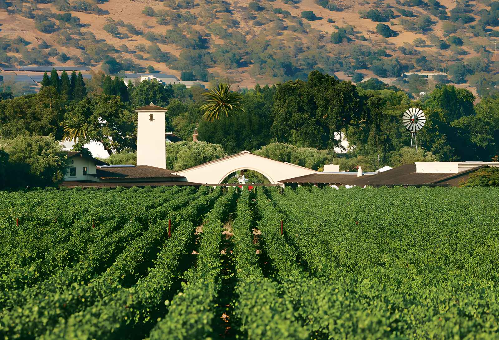 Best Napa Valley wineries Robert Mondavi Winery