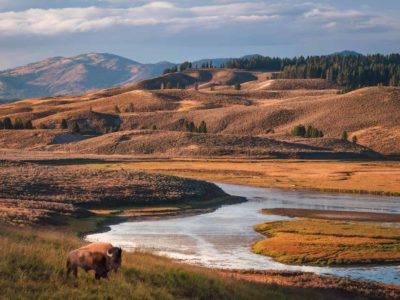 26 Best National Parks to Visit in the US (Our Favourites After 15 Years of Travel)