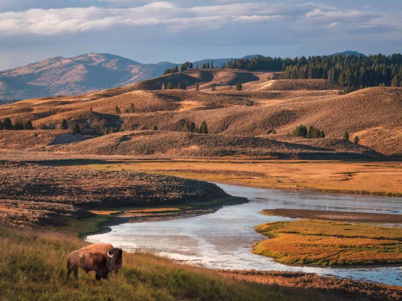 Best National Parks to Visit in the US: A Guide to 25+ Parks for Every Traveller