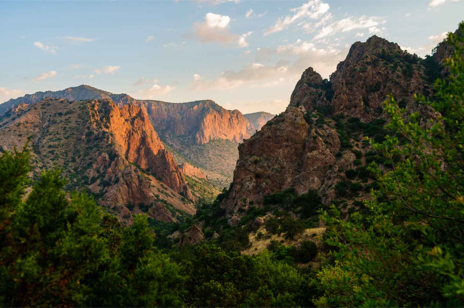 Best National Parks to Visit in March Big Bend