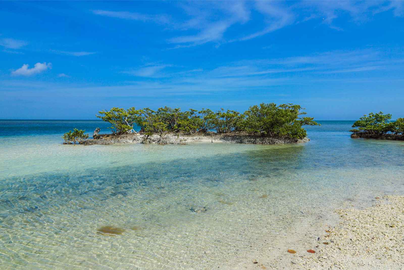 Best National Parks to Visit in March Biscayne Boca Chita Key