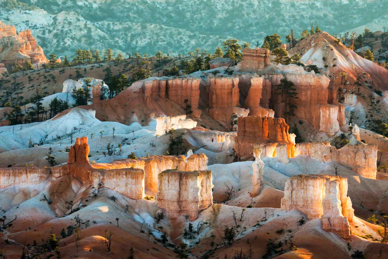 Best National Parks to Visit in March Bryce Canyon