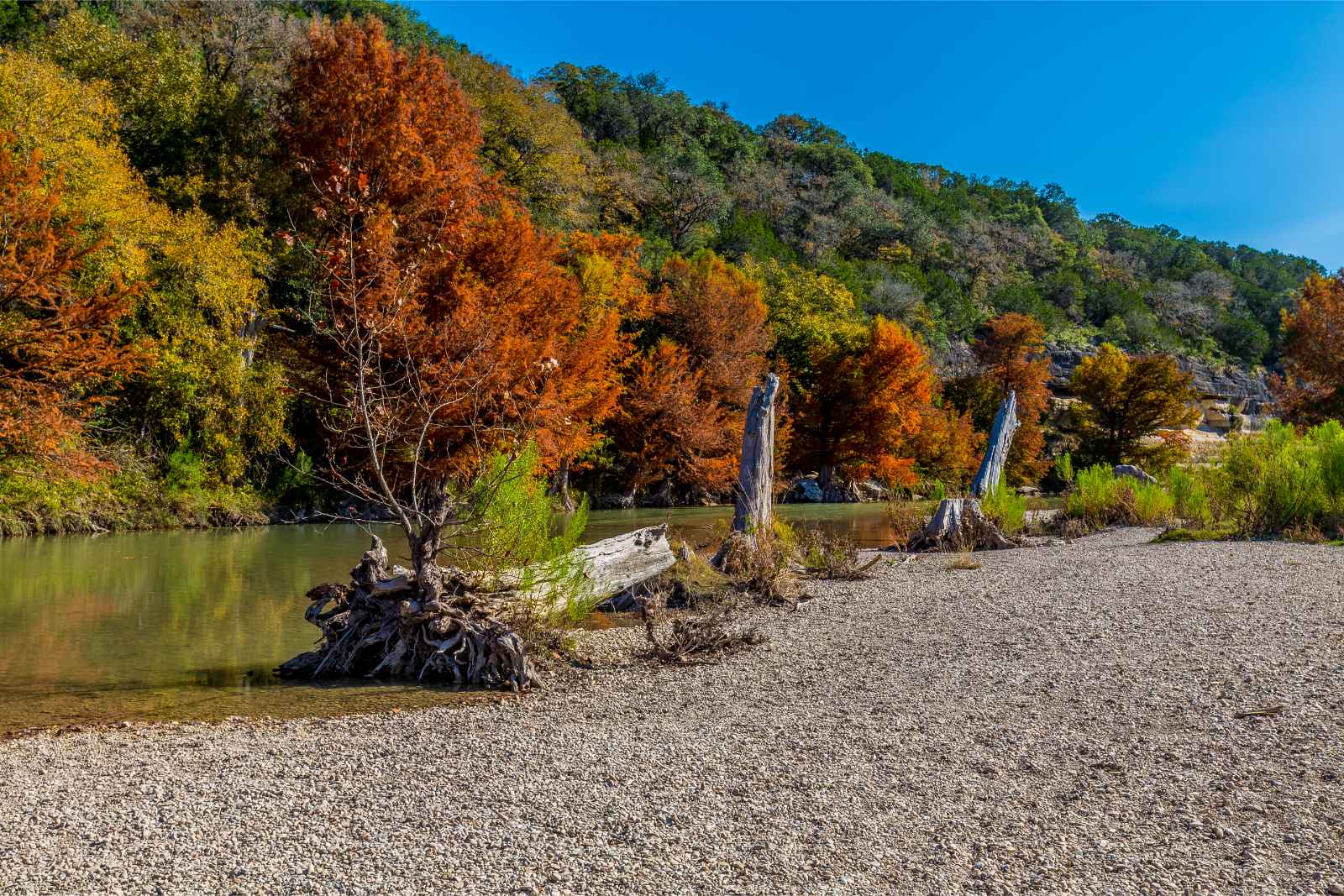 Best National Parks to Visit in March Guadalupe Mountains Fall Foilage