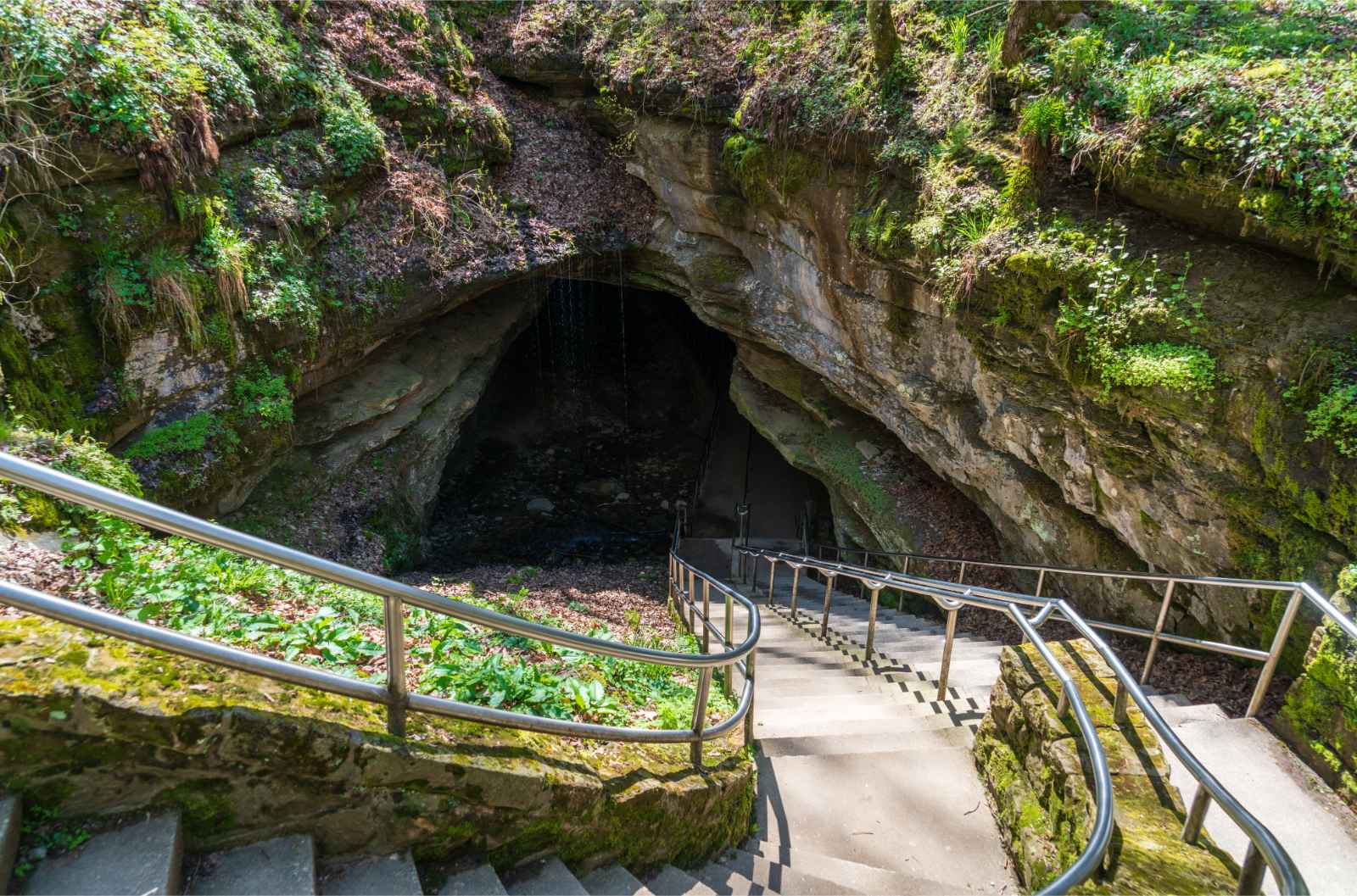Best National Parks to Visit in March Mammoth Cave Entrance