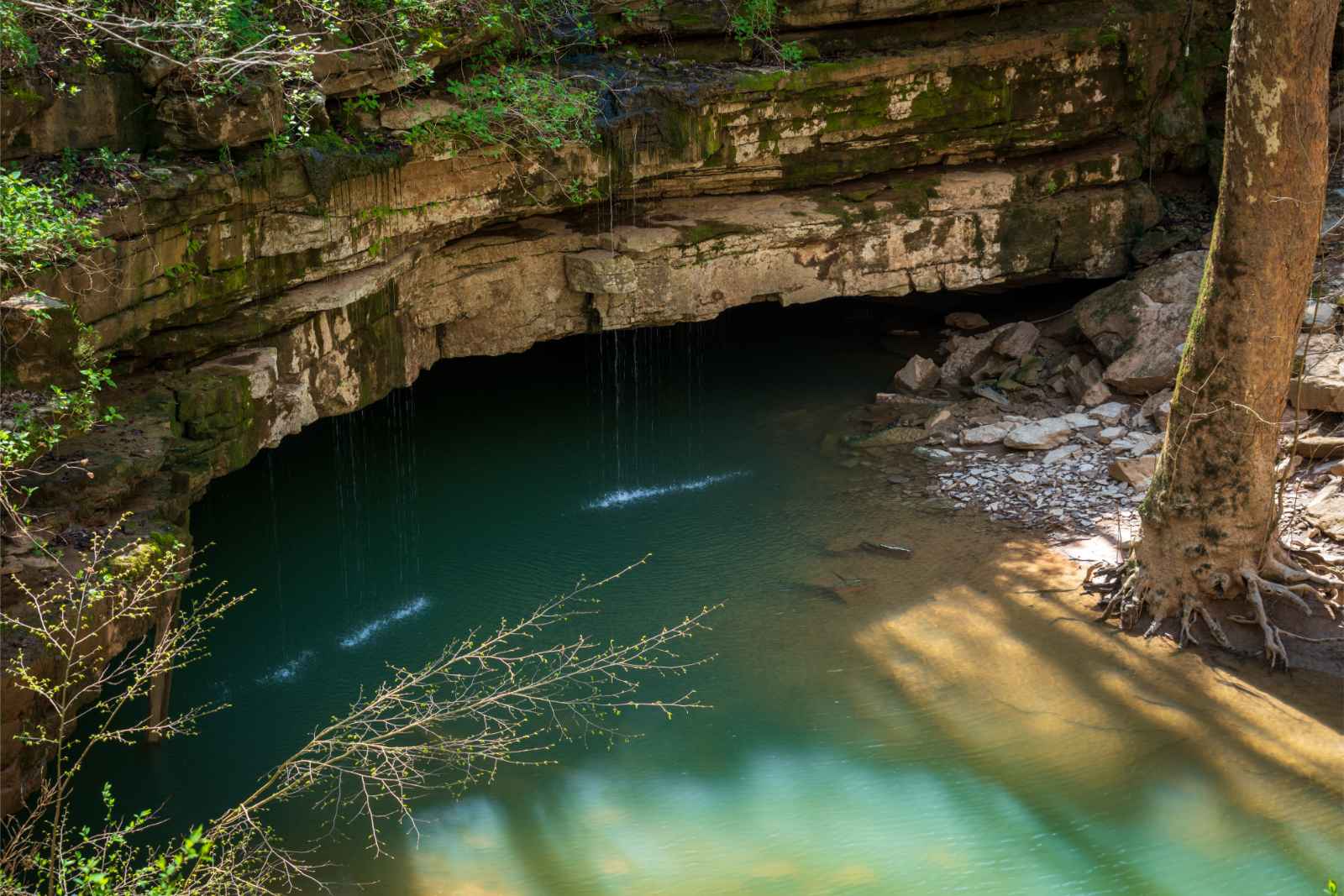 Best National Parks to Visit in March Mammoth Cave