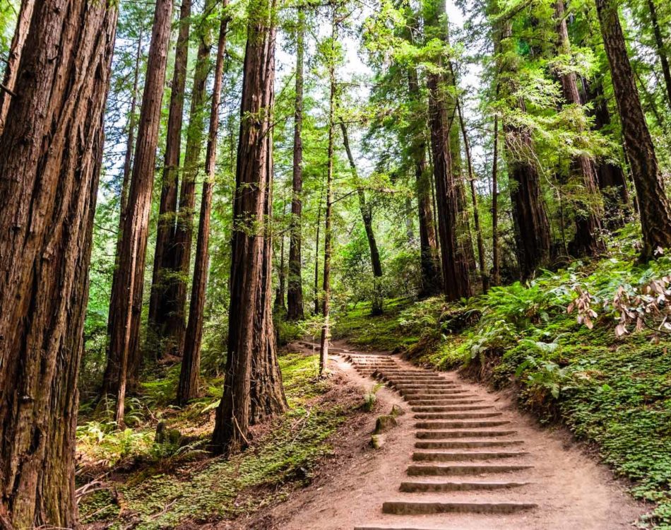 15 Best Hikes in California – Inspiration to Get Outdoors