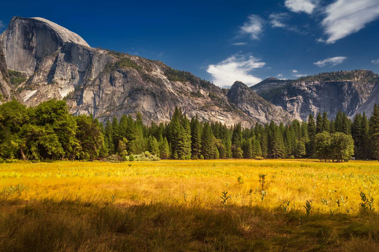Best Places to visit in the Summer USA Yosemite National Park