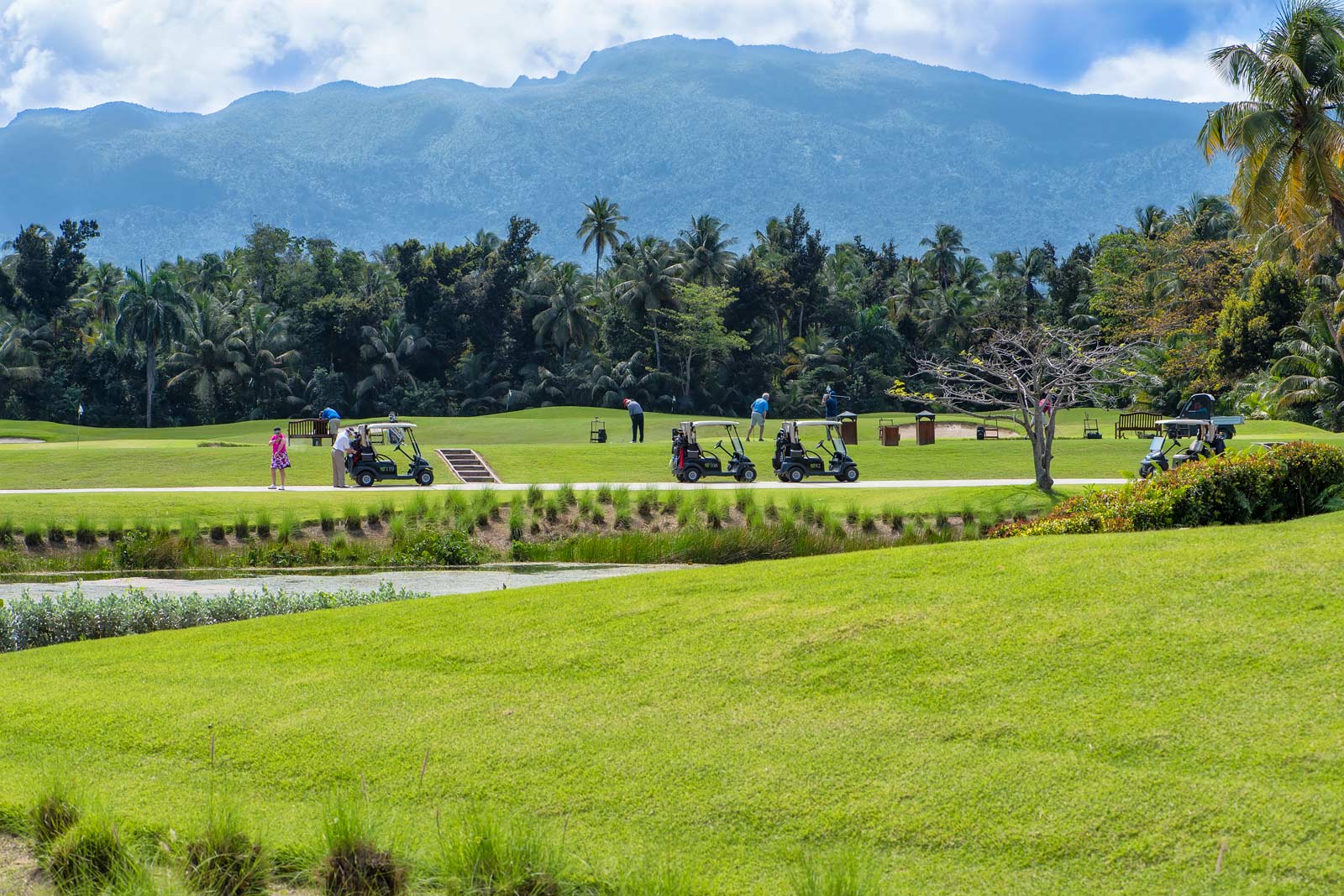 Best Places to stay in Puerto Rico Dorado Golfing