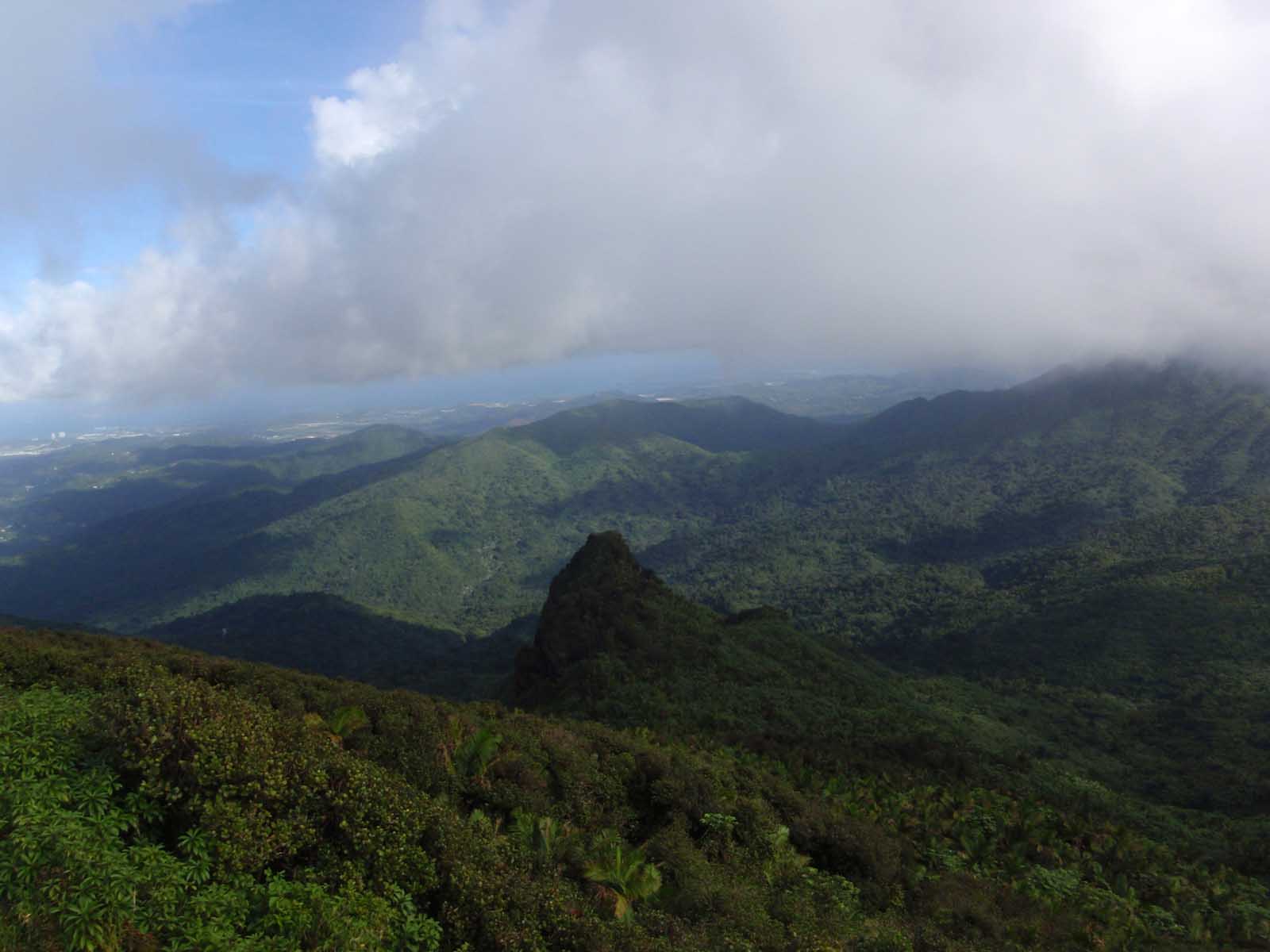 Best Places to stay in Puerto Rico El Yunque Rainforest