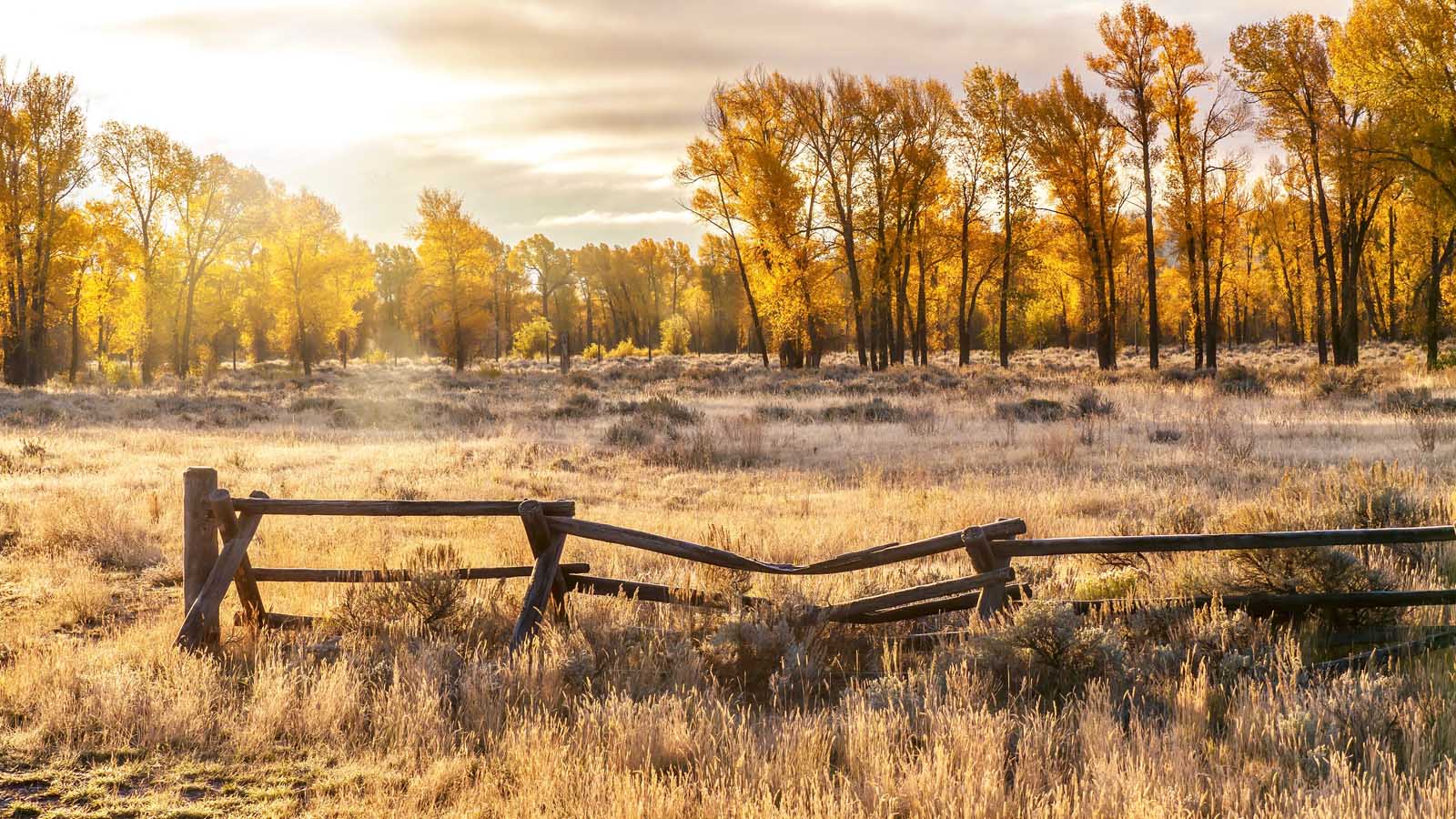 Melhores lugares para visitar em outubro EUA Jackson Hole Wyoming