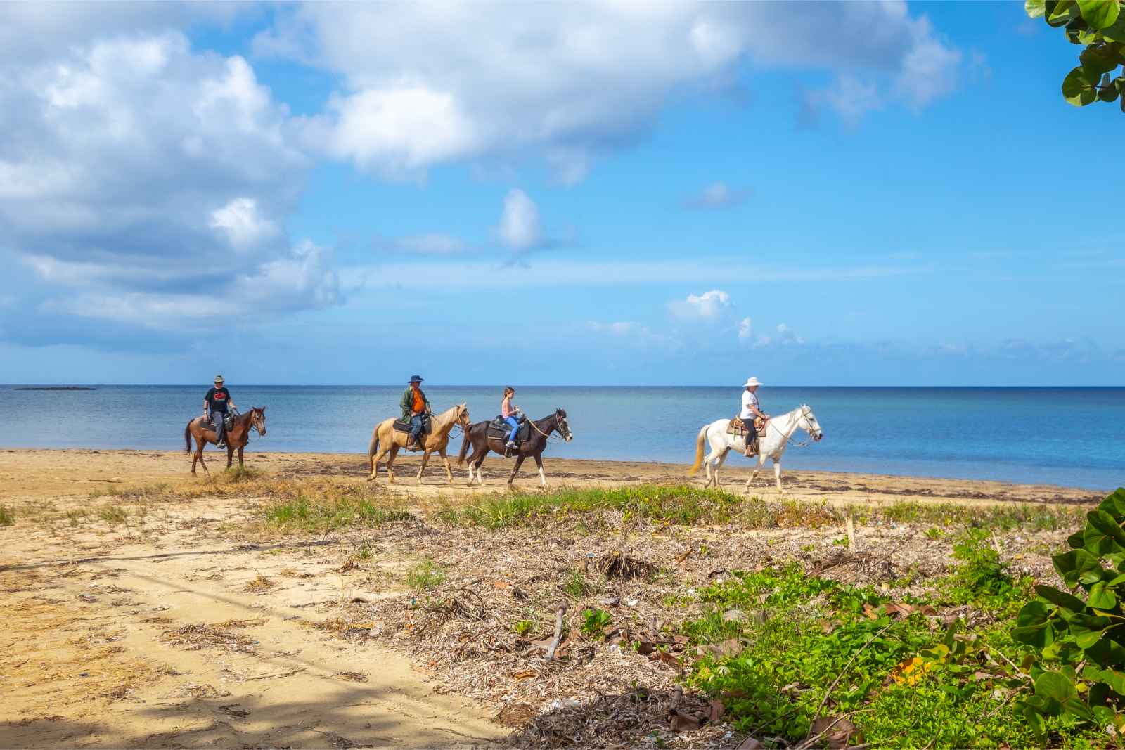 Best Things To Do in Aruba Horseback Riding Tour
