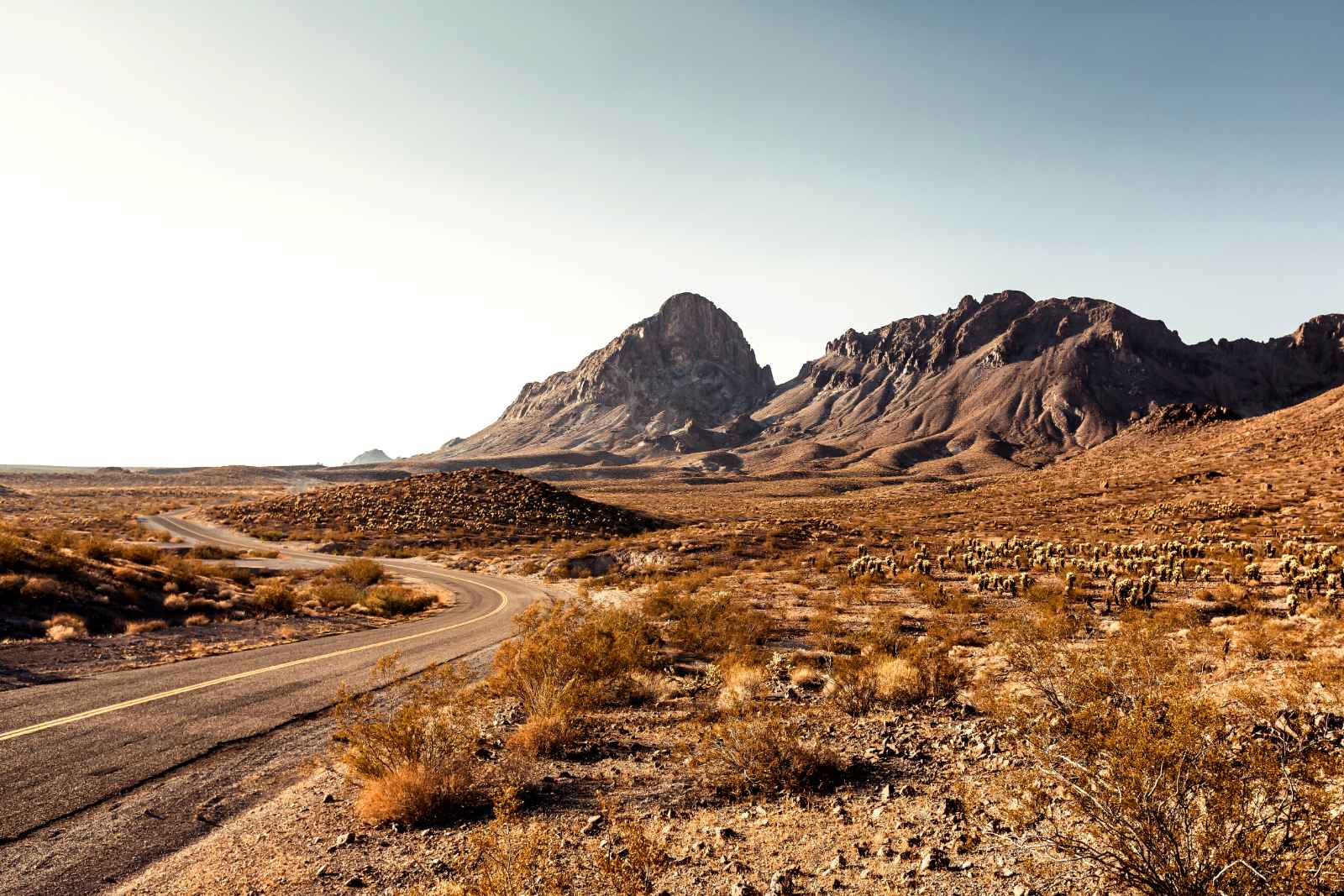 Best Things to Do in Los Angeles Off Roading in The Mojave Desert