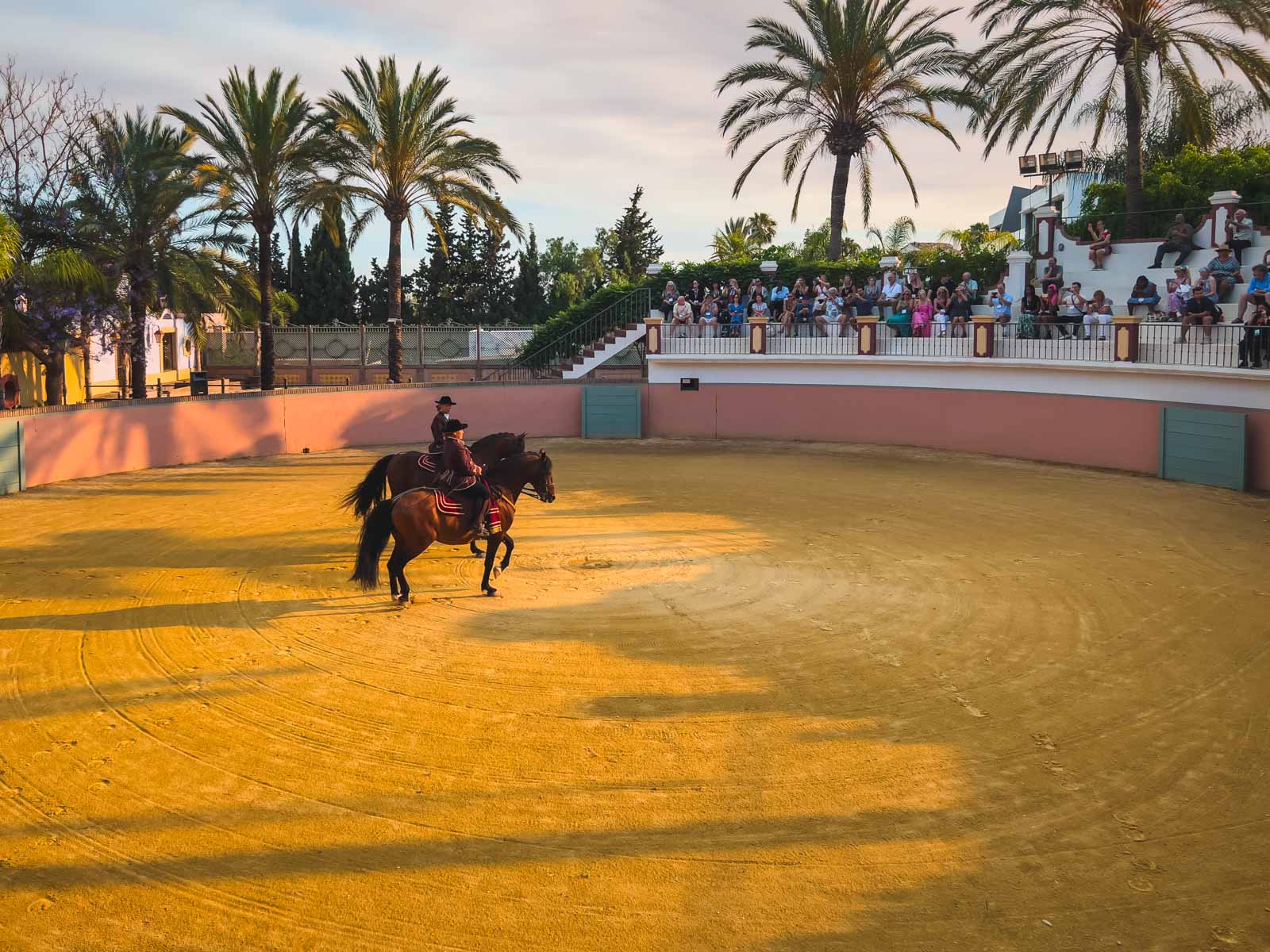Things to do in Marbella Spain Horse Show
