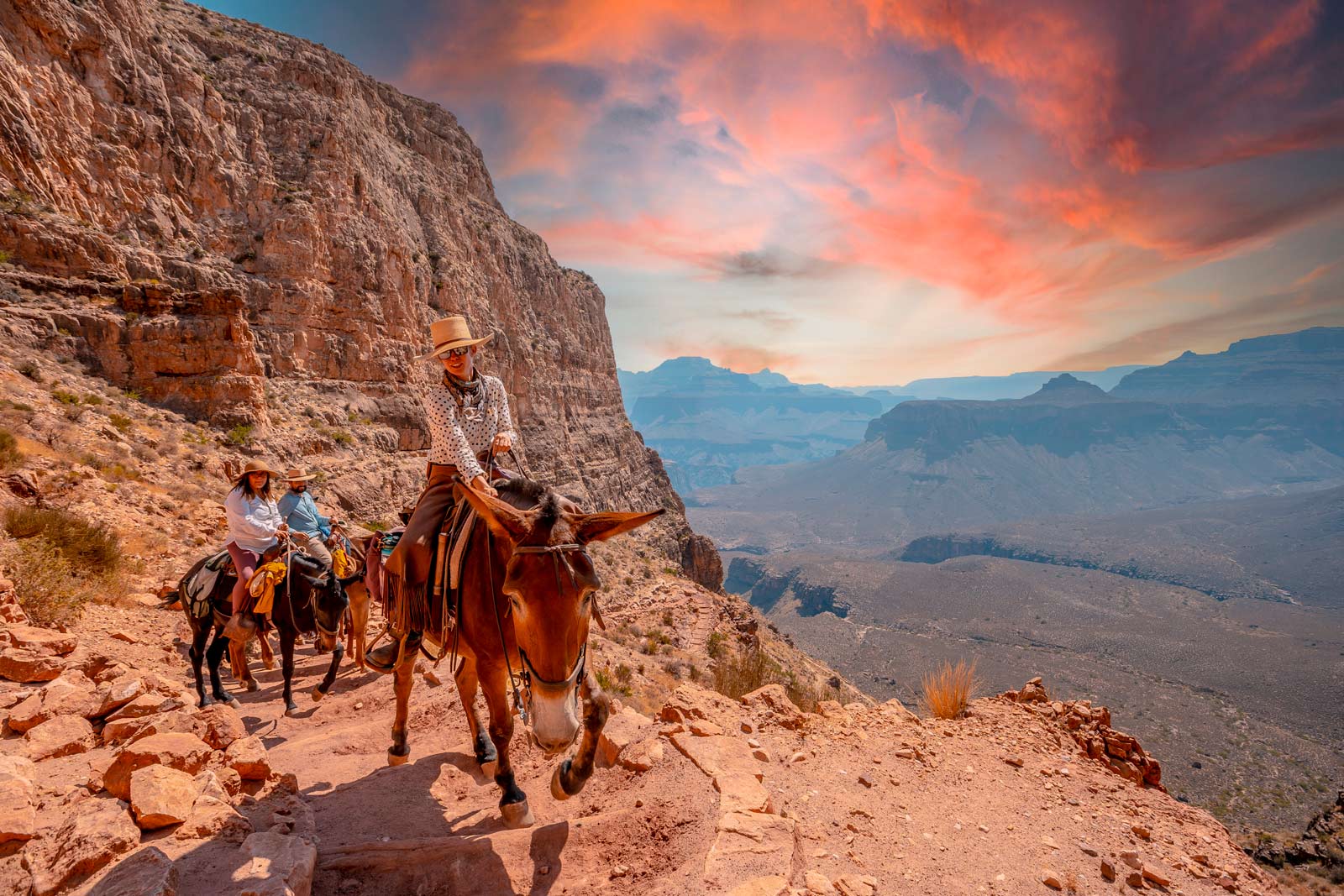 Best Things to do at the Grand Canyon Mule Rides