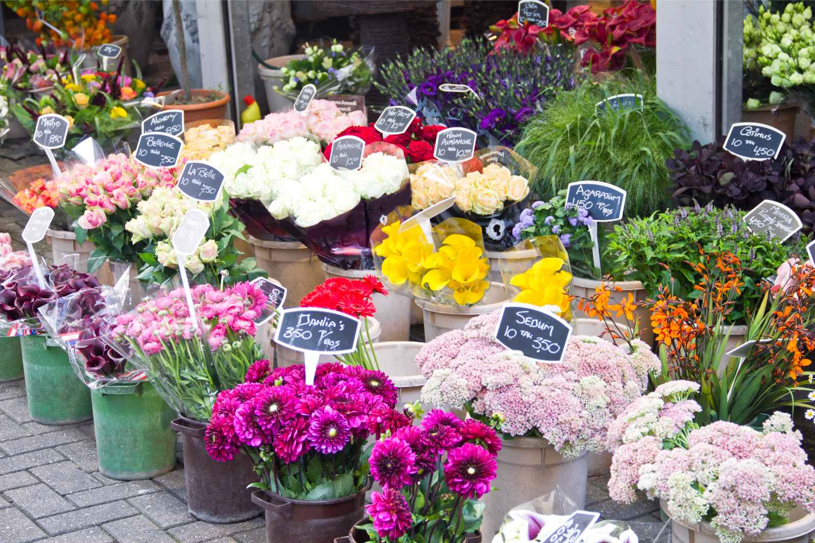 Best things to do in Amsterdam Flower Markets