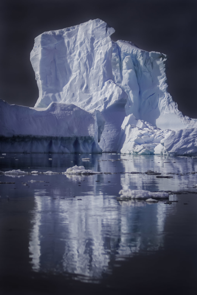Things to do in Antarctica icebergs