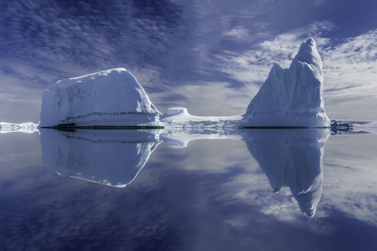 things to do in Antartica photography tours