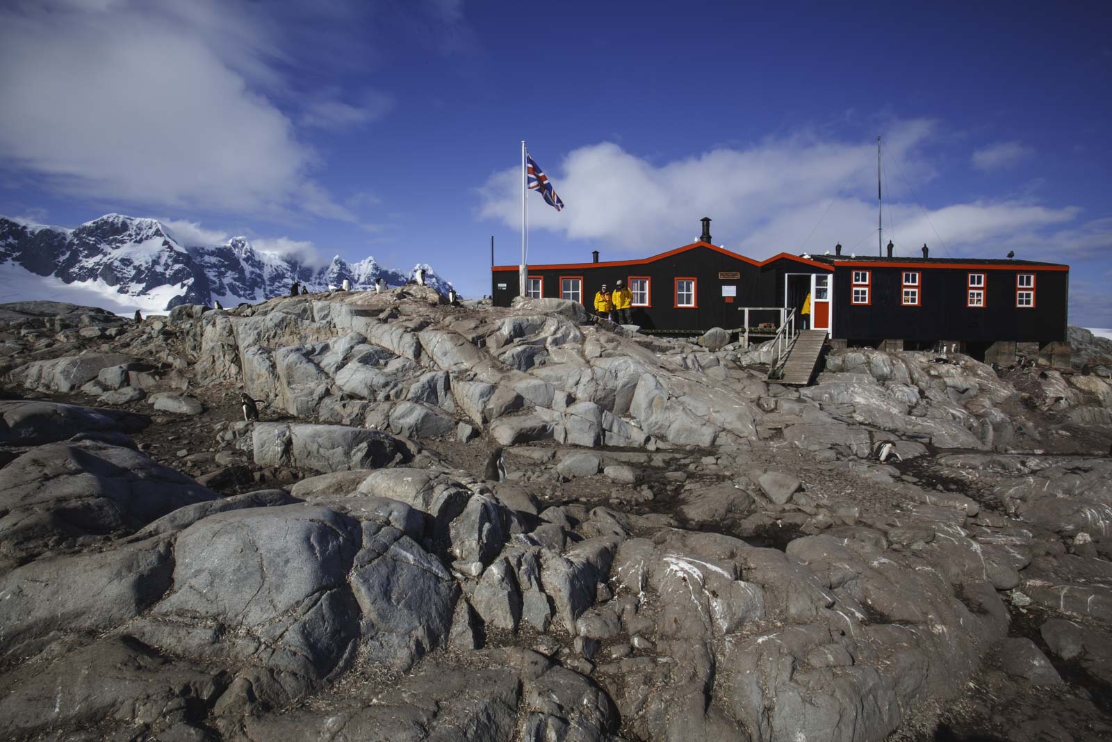 Penguin Post office in Antarctica