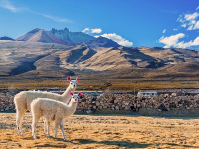 20 Best Things To Do In Bolivia In 2023