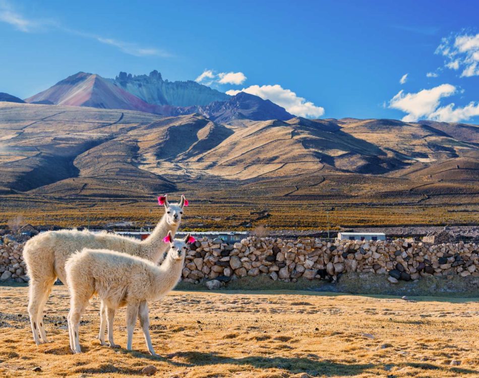 20 Best Things To Do In Bolivia In 2024