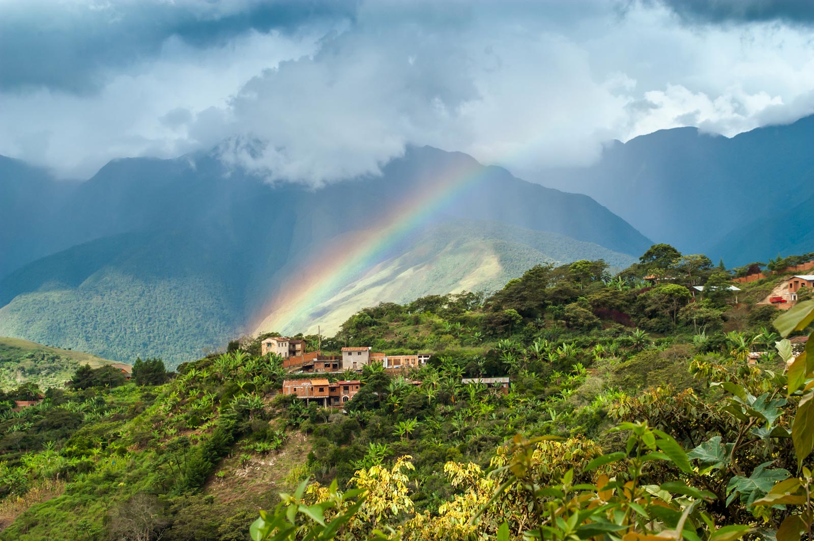 Best Things to do in Bolivia the Yungas