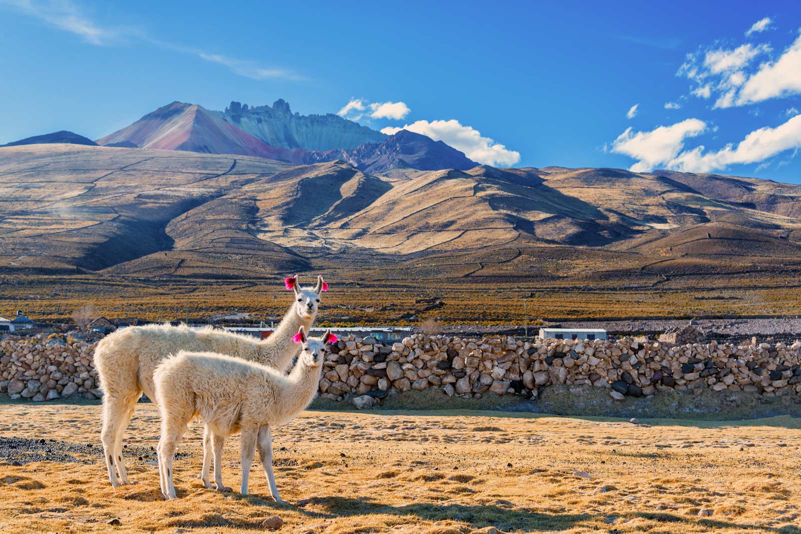 Best Things to do in Bolivia