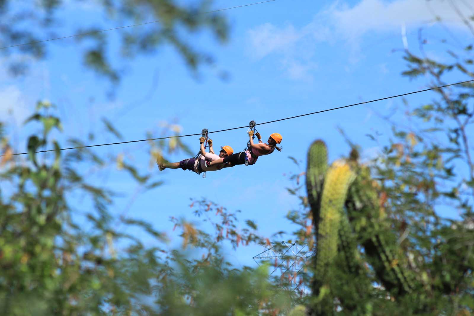 Best Things to do in Cabo San Lucas Zipline Tour