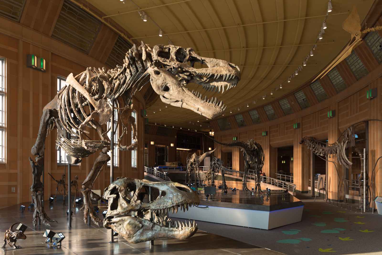 Best Things to do in Cincinnati Cincinnati Museum Center