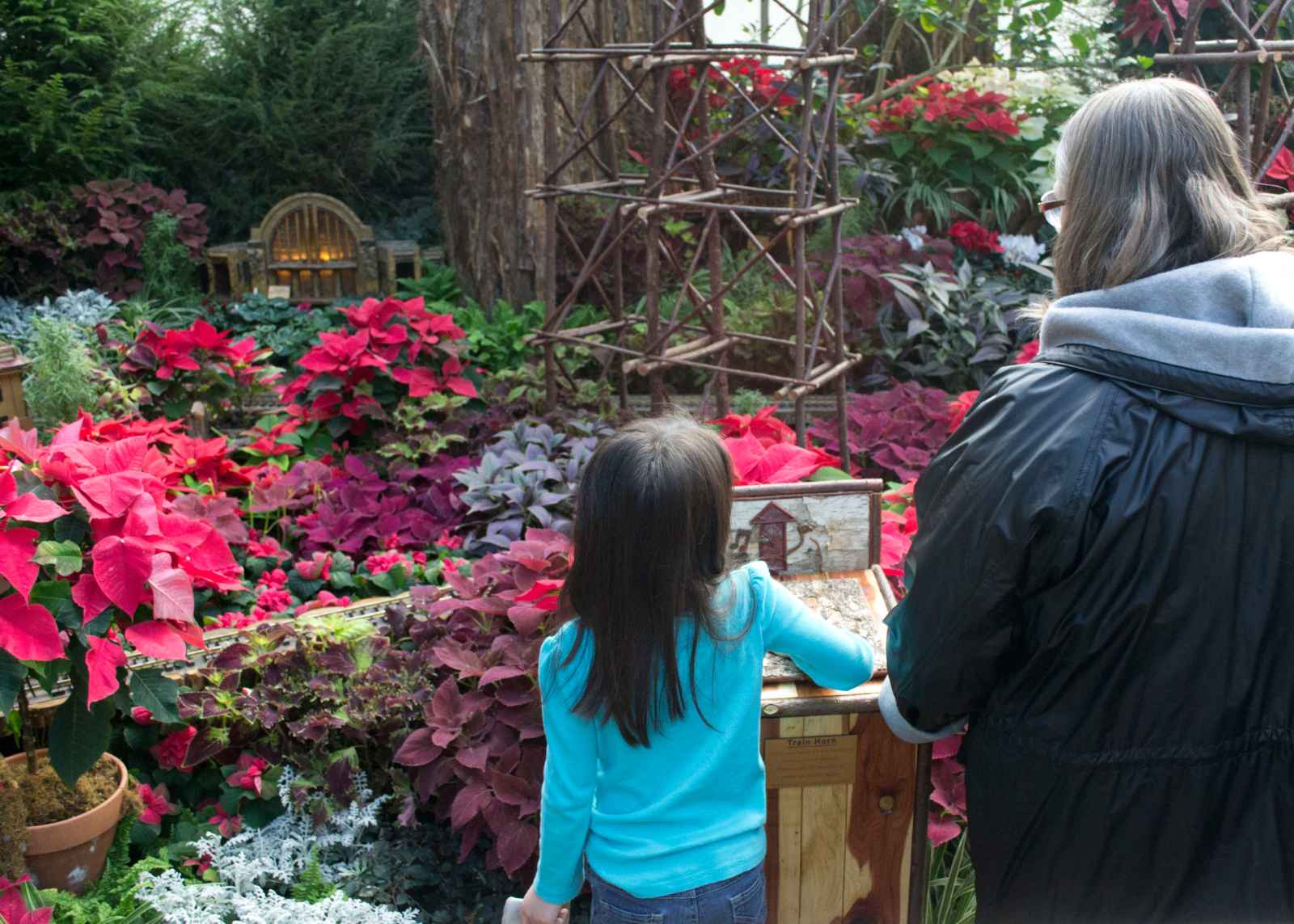 Best Things to do in Cincinnati Krohn Conservatory