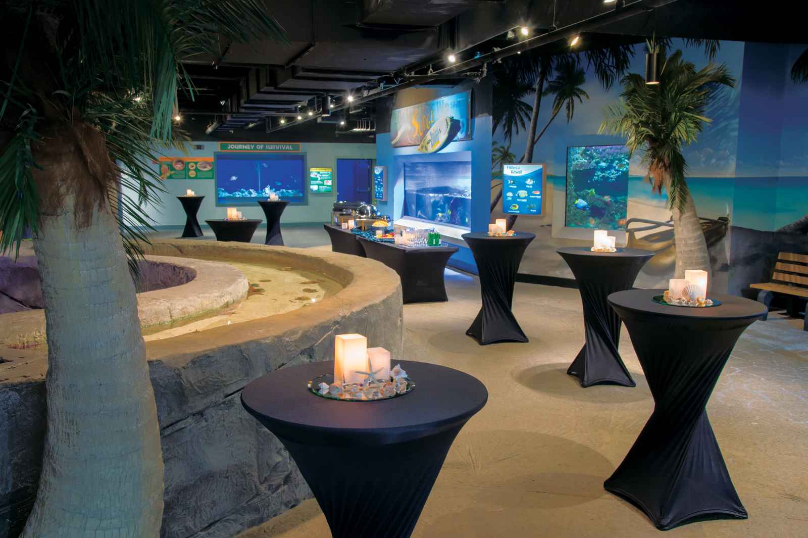 Best Things to do in Cincinnati Newport Aquarium Shore Gallery