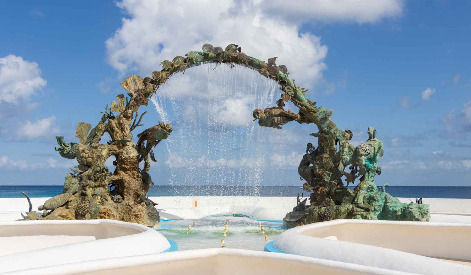 Best Things to do in Cozumel Coral Reefs Monument