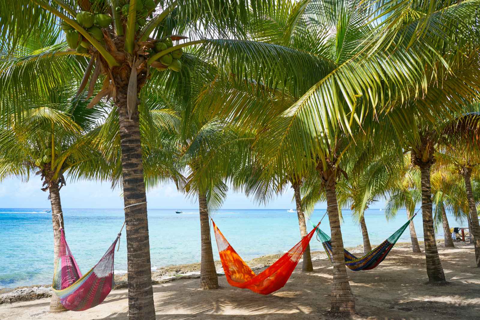 Best Things to do in Cozumel Passion Island Hammocks