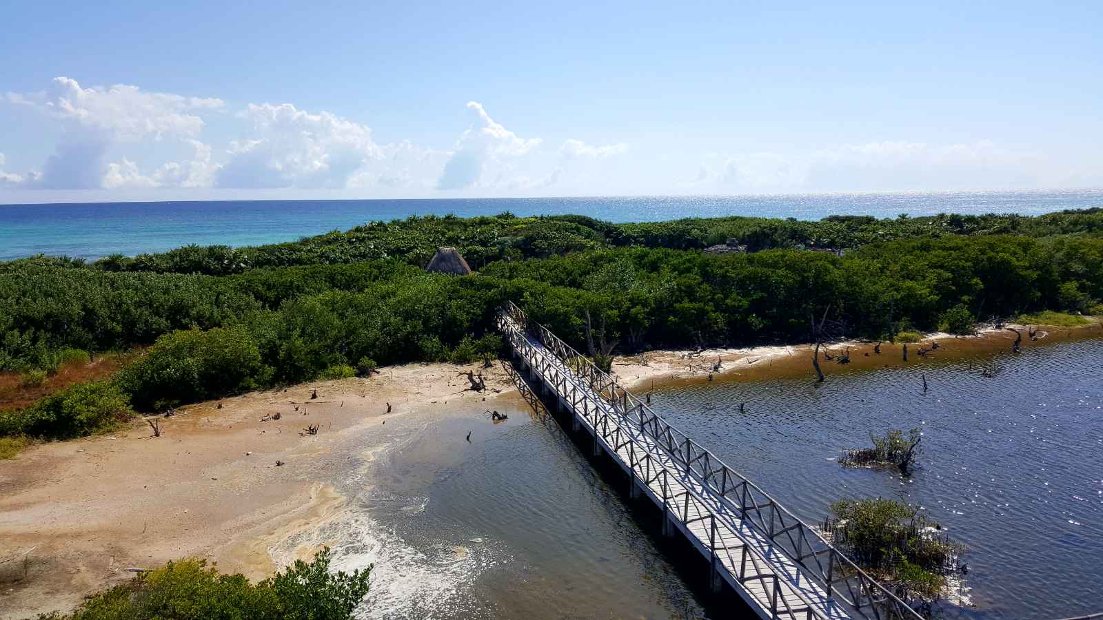 Best Things to do in Cozumel Punta Sur Ecological Beach Park
